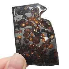 20.9G SERICHO Pallasite olive meteorite slices - from Kenya TA464 picture