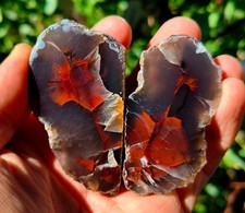 Mirror Polished Extremely Rare Turkish Red Fox Agate Pair Uv Fluorescent picture