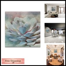 Renditions Gallery Pastel Succulent I Gallery Wrapped Canvas Wall Art picture