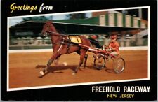 1950s Freehold New Jersey Postcard FREEHOLD RACEWAY Harness Horse Racing Trotter picture