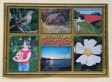 Postcard GA: Greetings from Scenic Georgia  picture