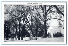 The Elms Forester Michigan MI, Tree-lined Fence Scene Vintage Unposted Postcard picture