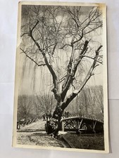 Salt Lake City Liberty Park 1941 Original Contest Photo Of 1880s Bridge picture