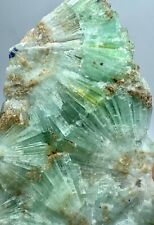 242 Gram Extremely Beautiful Aragonite Flower Ship Crystals Specimen @AFG picture