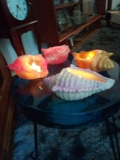 Elegant Lighted Conch Shells picture