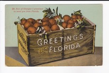 Greetings From Florida Box Of Oranges I Promised Divided Back Postcard picture