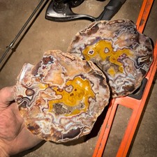 XL Kentucky Agate Pair (2lbs 13oz) Mirror Polished Half+Slab | Old Stock Rare K1 picture