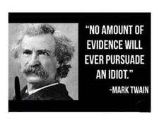 N117 Funny Mark Twain Idiots Quote Refrigerator Magnet NICE picture