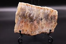 Beautiful AAA Polished Plume Slab Amazing Colors & Patterns picture