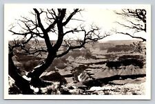 1940s RPPC Majestic Grand Canyon View VINTAGE Real Photo Postcard EKC picture
