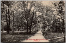 Postcard Walk Back of Dorms; Oxford, Ohio; Miami University Campus ML picture