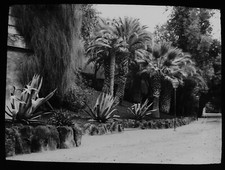 ANTIQUE Magic Lantern Slide THE PINCIO GARDENS C1910 PHOTO . ROME ITALY picture
