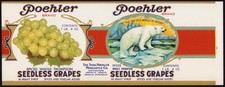 POEHLER BRAND SEEDLESS GRAPES vintage can label Kansas 1930s Polar Bear picture