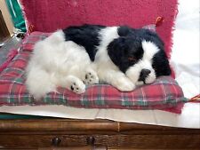 Westminster Sleeping Puppy Made With Rabbit Fur Dog On Red Plaid Bed. Vintage picture