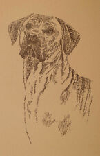 Rhodesian Ridgeback Signed Dog Art #61 Stephen Kline draws your dogs name free. picture