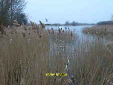 Photo 12x8 Reeds in the old gravel pits at Prior's Fen Gravel excavation t c2013 picture