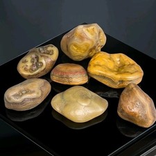 Agate Lot Bundle Specimen Stone Variety Memphis Tennessee picture