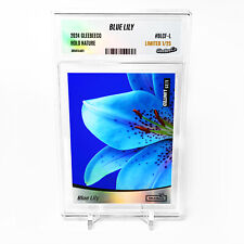 BLUE LILY Photo Card 2024 GleeBeeCo Holo Nature Up Close #BLCF-L /25 Made - Wow picture