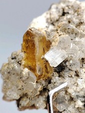 Rare Gemmy Xenotime-(Y) Crystals Specimen on matrix with Quartz - Zagi Mnts, Pk. picture