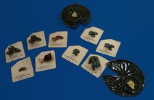Vintage Hagen Renaker Worm Slug Caterpillar Frogs Toad Figurine Lot Lily pad picture
