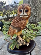 Lg 18” Solid Resin OWL Life Size w/glass Eyes Excellent w/original Box picture