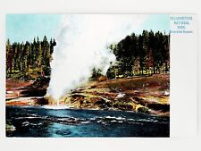 Riverside Geyser, Yellowstone Natl. Park Postcard UNIQUE REPRINT GleeBeeCo #RVCL picture