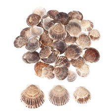 60Pcs 1.6