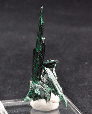 Brochantite , Milpillas Mine, Mapimi, Sonora, Mexico 39x22mm picture