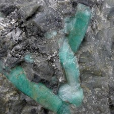 BRAZILIAN EMERALD CRYSTALS WITH BLACK TOURMALINE BIG 6 3/4 INCHES picture