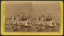 Gen'l Custer's last stand, looking in the direction of ford and India Old Photo picture