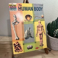 Vintage 1961 How and Why Wonder Book Human Body Science Paperback 5013 picture