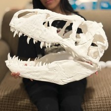 T-Rex Skull Replica 3D Printed Dinosaur Fossil Model Home Office Decor Gift picture