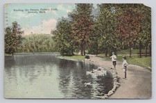Feeding the Swans Palmer Park Detroit Michigan 1924 Postcard picture