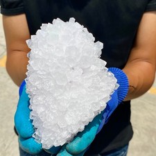 1.54LB Clear White Chrysanthemum QUARTZ Crystal Cluster point Specimen picture