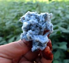 CHALCEDONY Coral Minerals M-5.24 picture