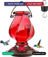 Glass Hummingbird Feeders for Outdoors Hanging, Ant Moat, Red, 22oz picture