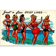 Just A Few Brief Lines Illustration Vintage Postcard SPW8 picture