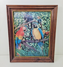 VTG 1960s 3D Tropical Parrots Wood Framed Picture Wonder Co. Japan 15.75