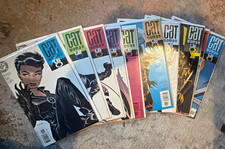 DC Comics Catwoman Comic Book Lot - Ed Brubaker, Darwyn Cooke Cover Art picture