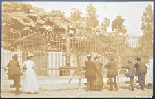 Early 1900s Manito Park Spokane WA Bear Exhibit RPPC Vintage Real Photo picture