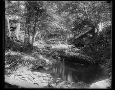Photo:Forest Cabin Stream 1929 Woods Creek Rural Scene picture
