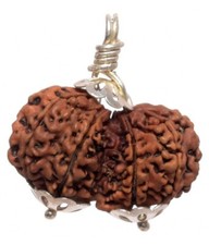 Natural Gauri shankar rudraksha silver plated cap Pendent certified Nepal origin picture