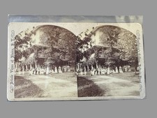 Antique Elmira NY Water Cure Stereoview Hydropathic Sanitarium Group Photo picture