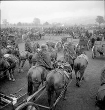 Defilee of the Thurgau Field Artillery Dept 21 Frauenfeld 1949 Old Photo 1 picture
