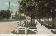 Postcard MI: Wells Ave Looking West, Escanaba, Michigan DB 1910's picture