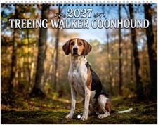 Treeing Walker Coonhound 2027 Wall Calendar picture