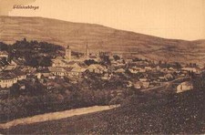 Golniczbanya Hungary Birds Eye View Antique Postcard J64022 picture