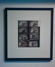 Vintage Walter Chandoha Signed 1965 Neg Contact Sheet Photo Puppies Studio Proof picture