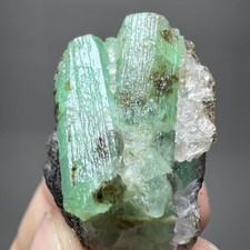 125ct Beryl Var  Twin Emerald Crystal on Quartz Natural Specimen Chitral PAK picture