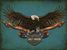 HARLEY DAVIDSON AMERICAN BALD EAGLE 16